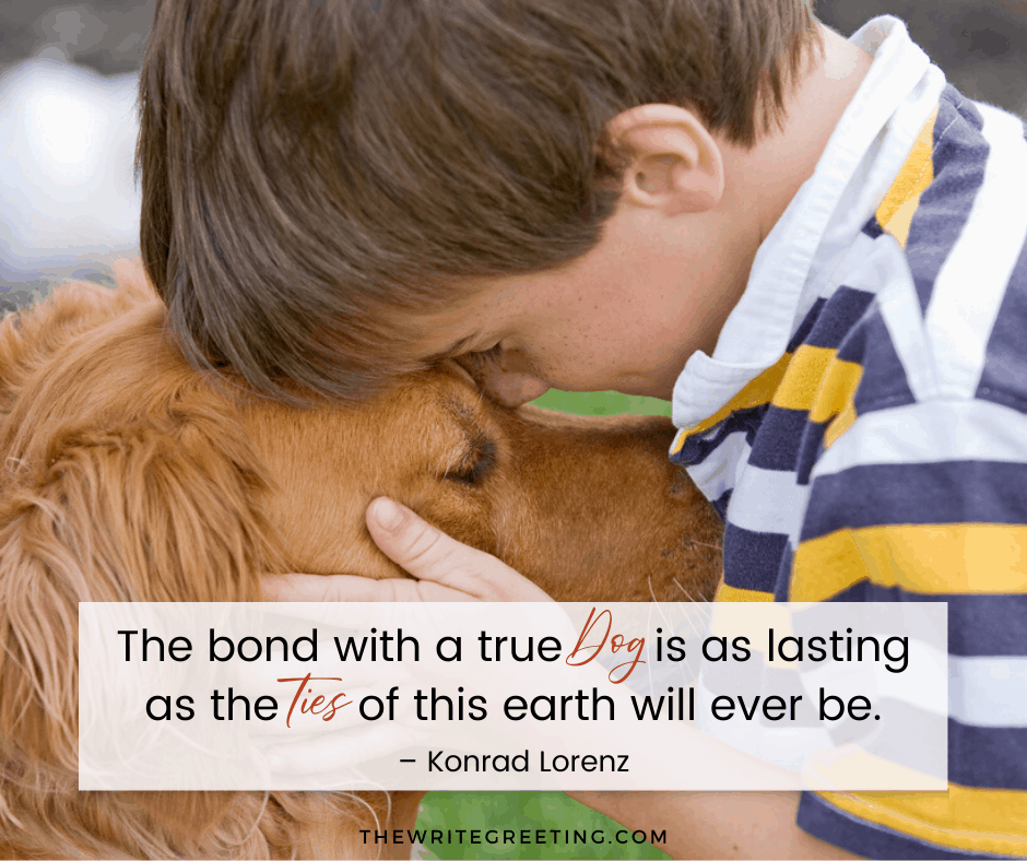 a young boy and his dog hugging