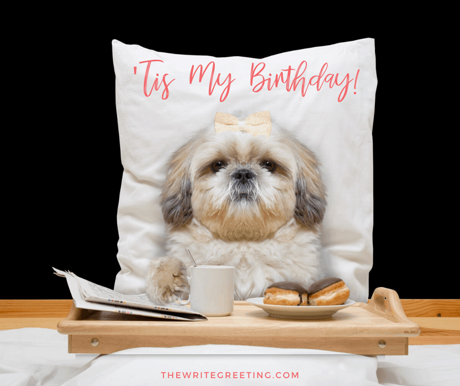 A dog sitting in bed with coffee and donuts on a table