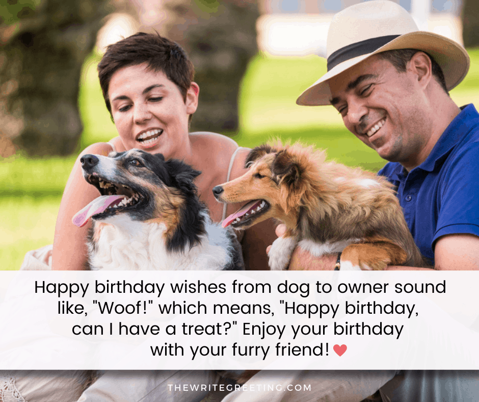 Fun Happy Birthday Wishes for Dog Lovers The Write Greeting