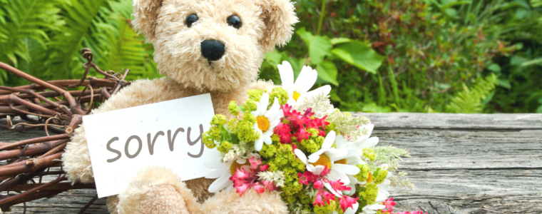 A cute teddy bear with a sorry sign and flowers