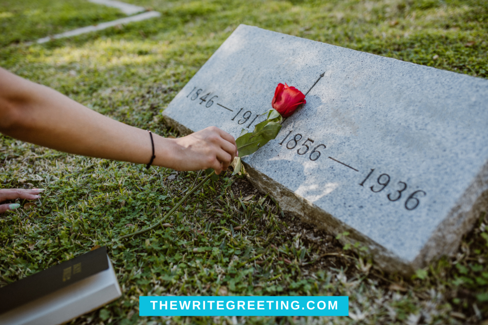 Person putting red rose on gravesite