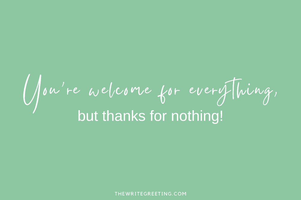 75+ Funny Thank You One Liners - The Write Greeting